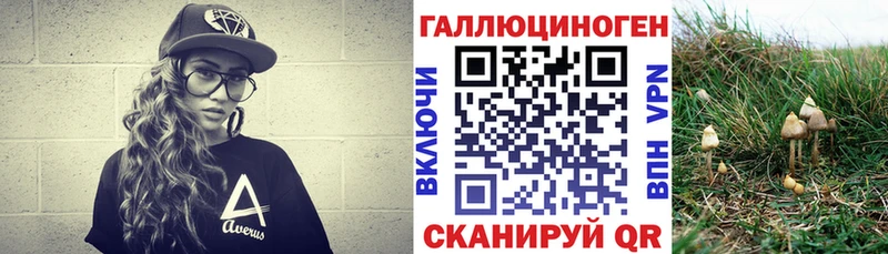 Псилоцибиновые грибы Magic Shrooms  omg ONION  Новосиль 